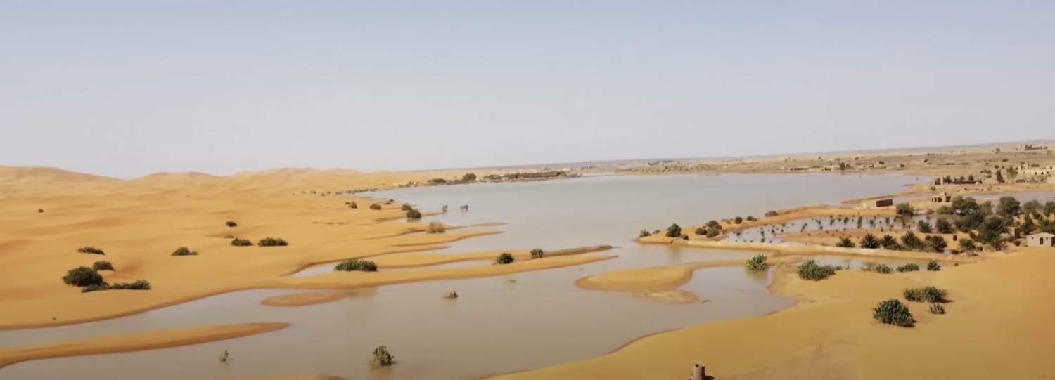 guardian sahara.png