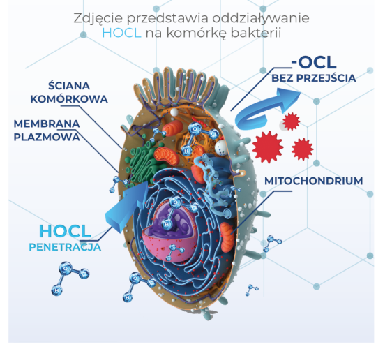 dezynfekcja_sieci_najleszy_srodek_do_dezynfekcji_legionelli_actiw_legionella_wroclaw_poznan_szpitale.png