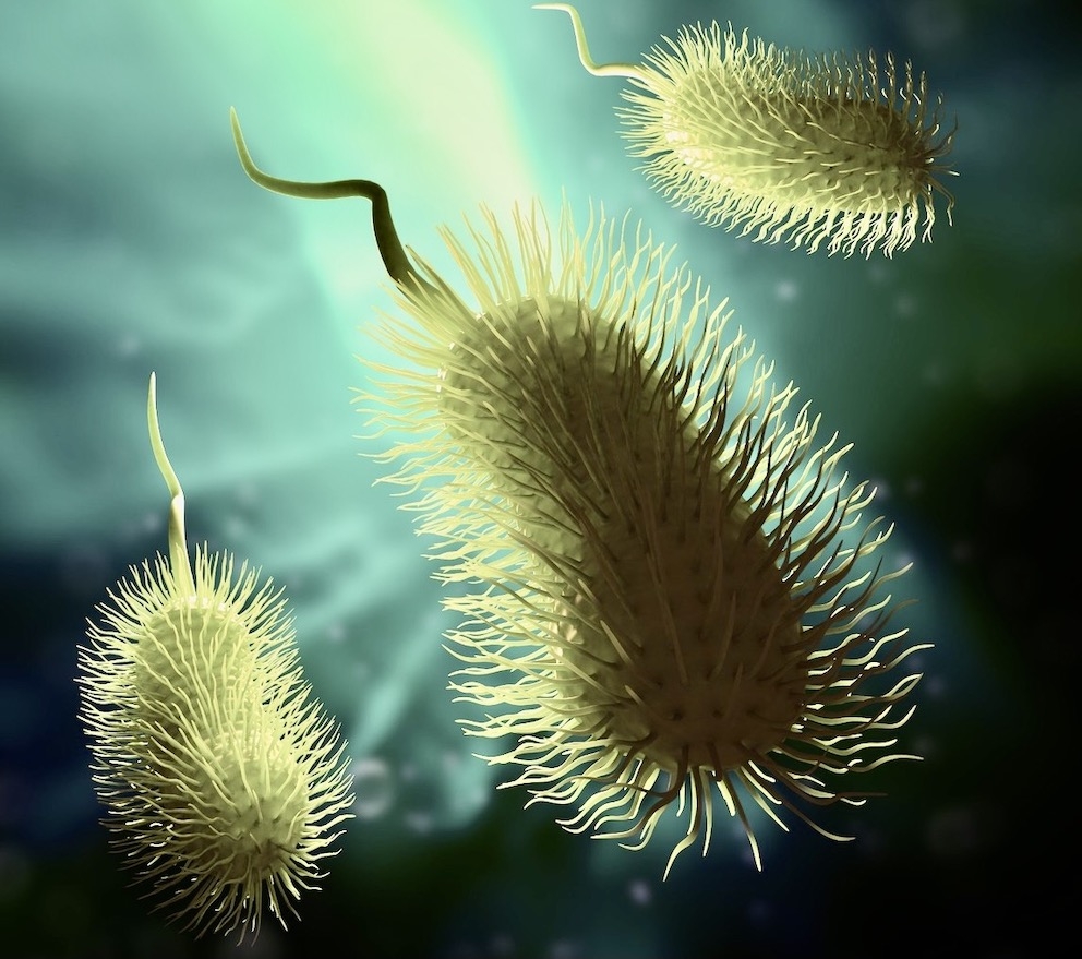 biofilm_skażenie_tężni_solankowych_dezynfekcja_HOCl_instalacji_wody.jpeg